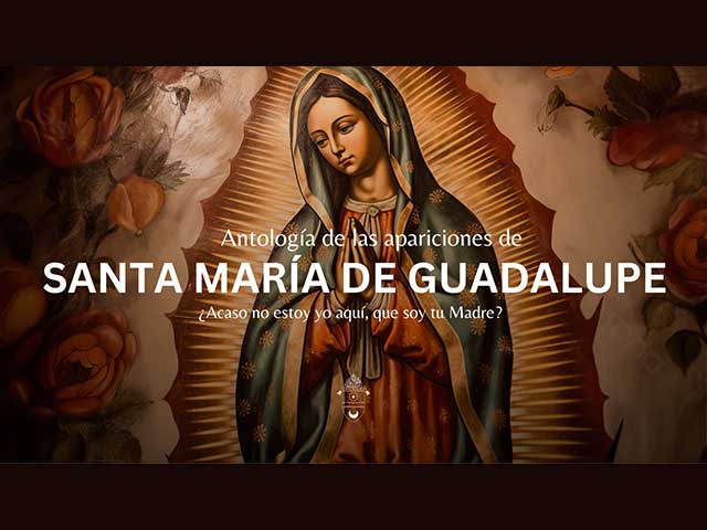 Guadalupe Advent 640x480