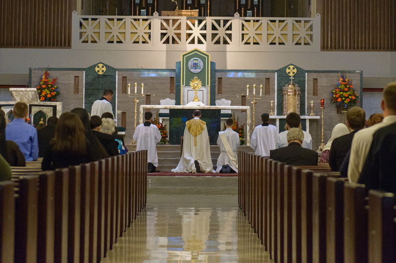 2017 Ordination Holy Hour Bishop Burbidge kneeling adoration