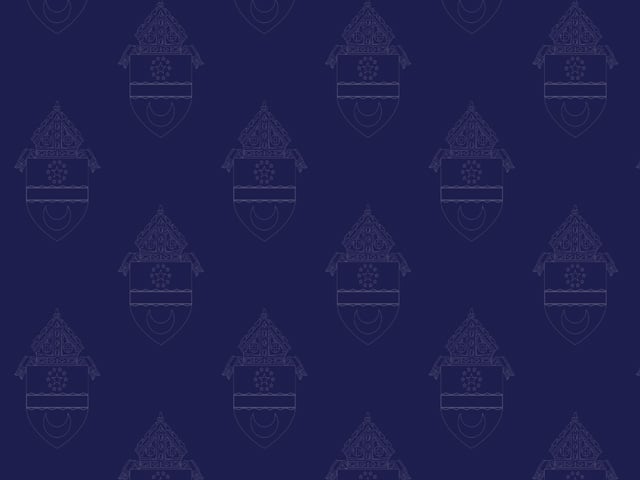diocesan-logo-step-and-repeat-background-640-480px-1056-am