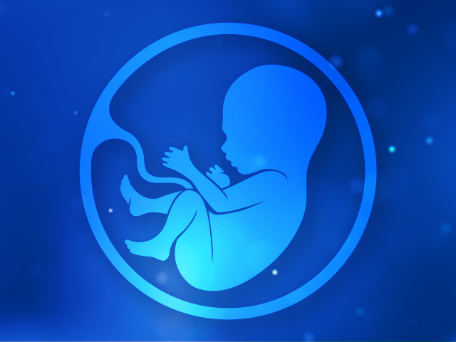 2-fetus-9-month-640-480px