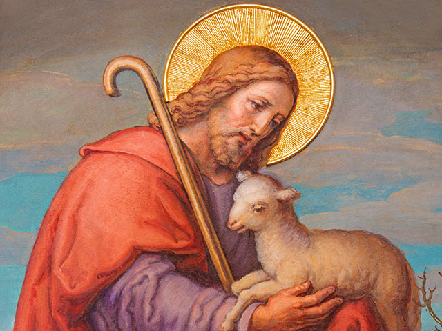 Jesus and Sheep 640x480