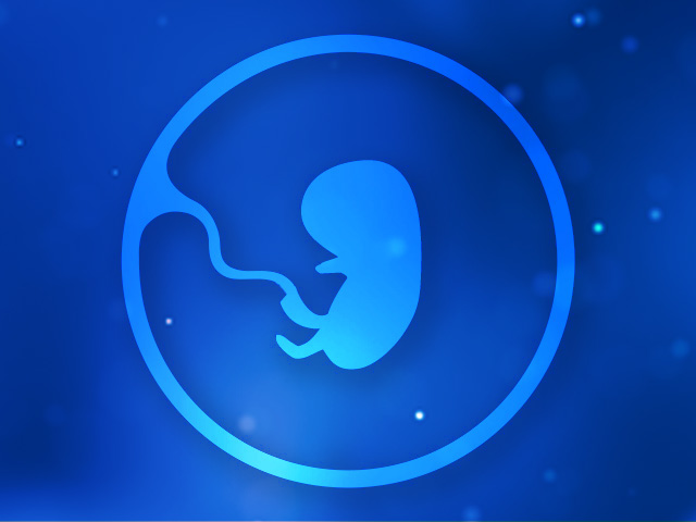 2-fetus-4-month-640-480px