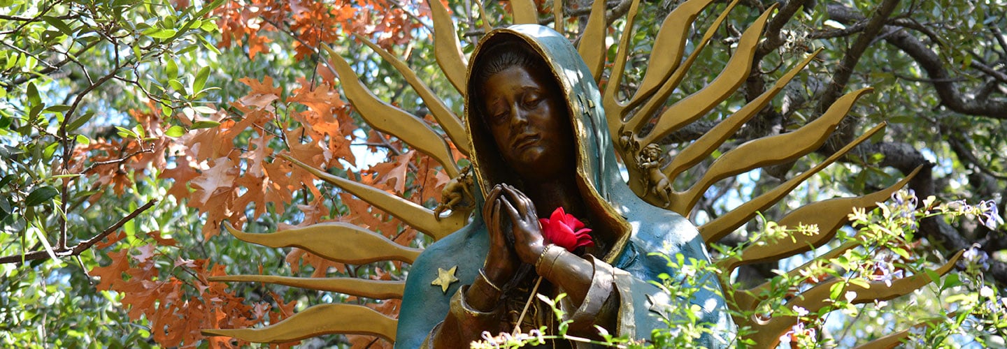 rejoice our lady of guadalupe 1440x500