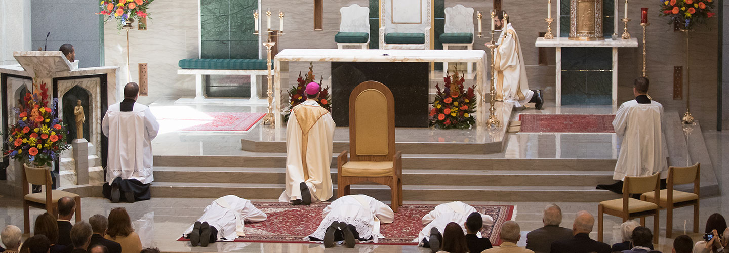 slider ordination prostrate 2017