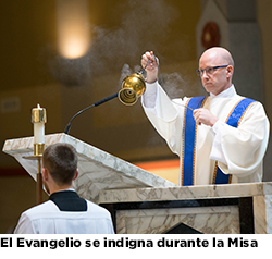 el evangelio se indigna durante la misa el evangelio se indigna durante la misa
