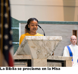 la biblia se proclama en la misa la biblia se proclama en la misa