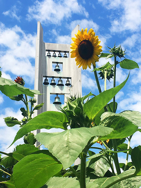 Church Bells with Sunflower
