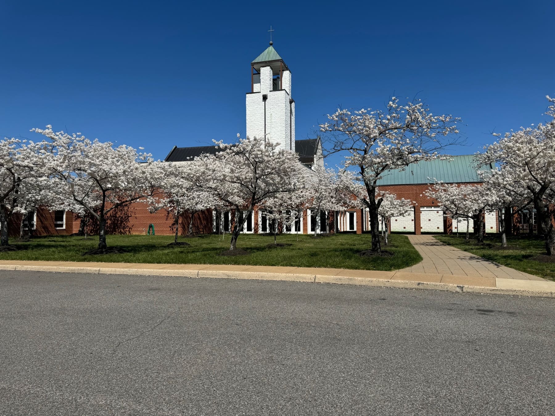 blessed sacrament, alexandria