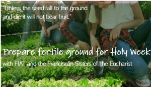 web image gardening