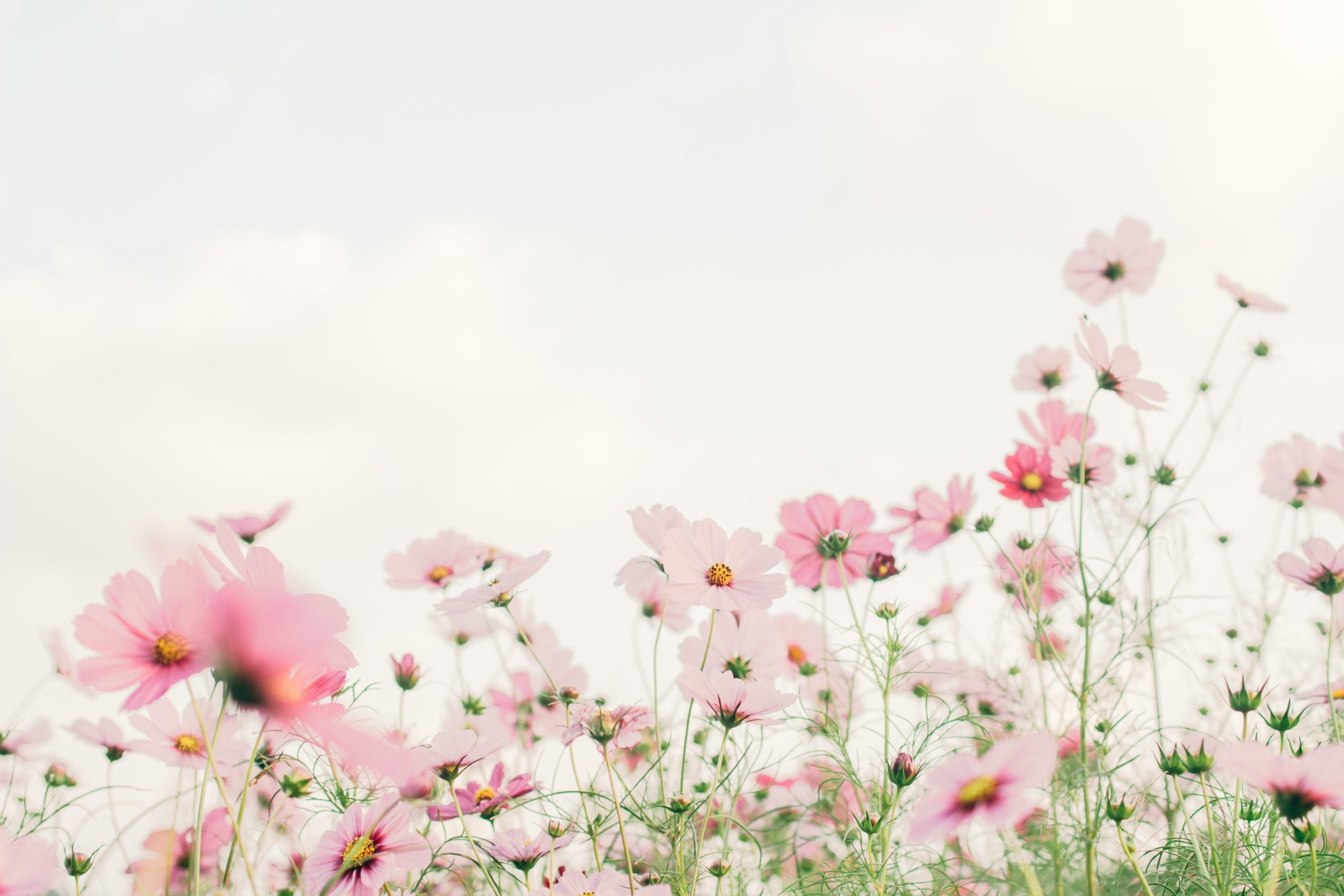 spiritually adopt a child