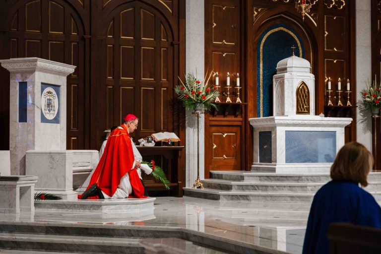 palm sunday hc 22 1
