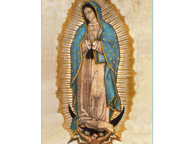 diócesis de arlington oración por las vocaciones