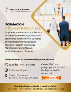 formaci n prematrimonial 1