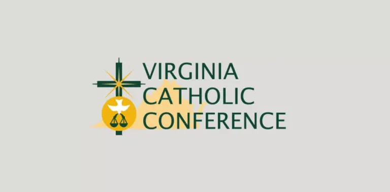 vcc 1 1024x504.jpg