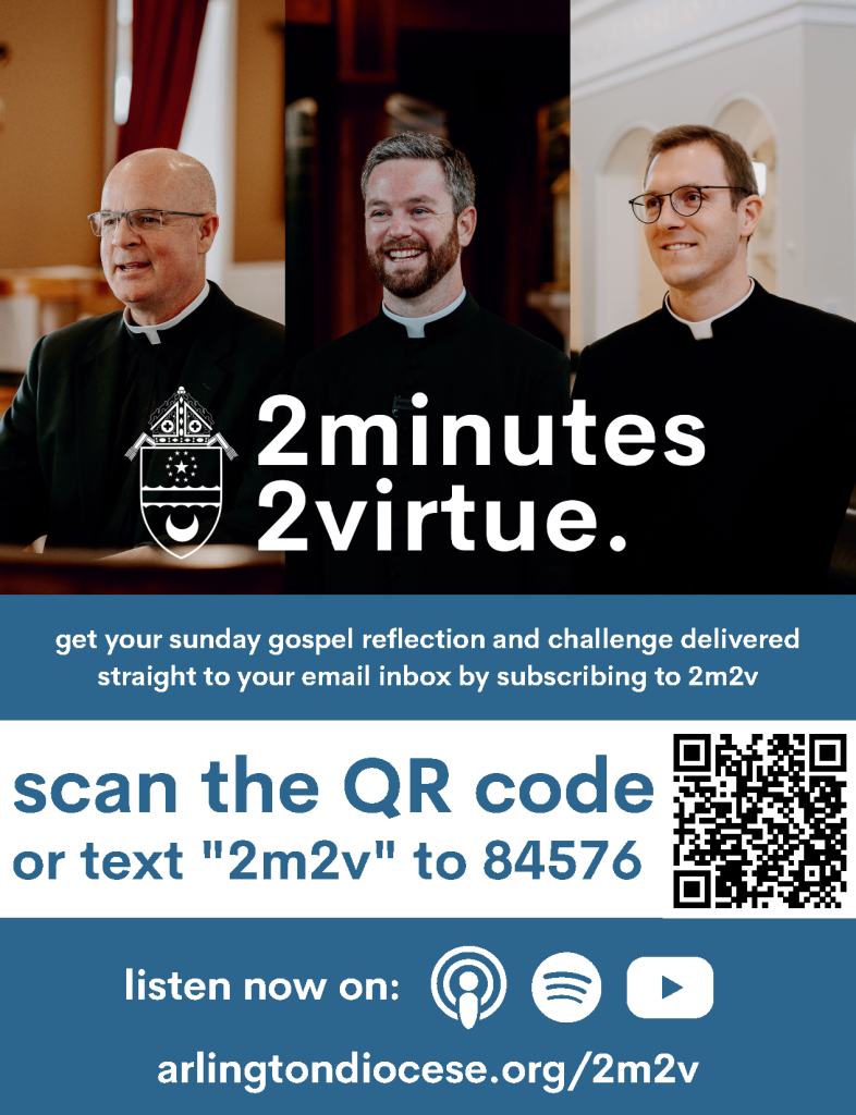 2m2v flyer 2025 1