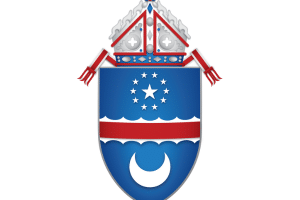 cda logo for social